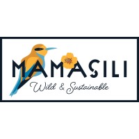 MAMASILI logo - Similar company to Moringa Wave