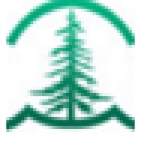 New World Online LLC logo - Similar company to Covision
