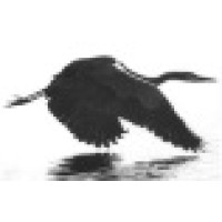 Antoine Martin Documentaliste logo - Similar company to Document Consulting S.A
