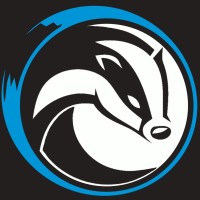 Badger Infosec logo - Similar company to Anchor Point It Solutions
