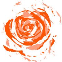 St. Elisabeth Roosendaal logo - Similar company to Leadership Coefficient