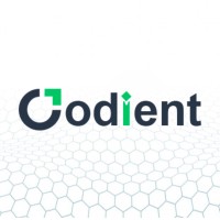 Codient Tech logo - Similar company to Couragex