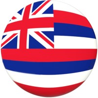 Hawaiiverse logo - Similar company to Koosh Media
