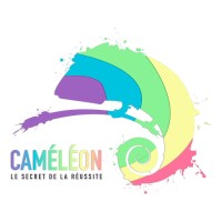 Cameleon (By L'œil du Cameleon) logo - Similar company to Coredev
