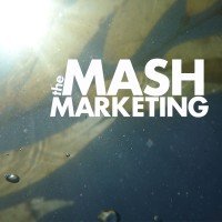The Mash Marketing logo - Similar company to Gm Systems Llc