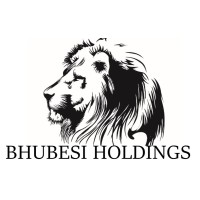 Bhubesi Holdings logo - Similar company to Liberum