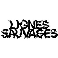 Compagnie Lignes Sauvages logo - Similar company to Culture First
