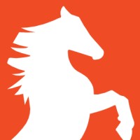 Stallion Infrastructure Services logo - Similar company to Infrastructure Networks