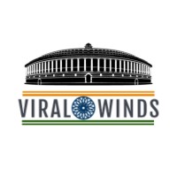 Viral winds logo - Similar company to Vmr India