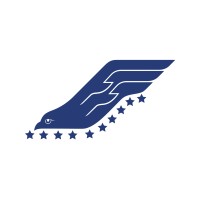 Falcon Foundation logo - Similar company to Falcon Foundation