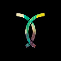 Teixos® logo - Similar company to Myatã E-Branding