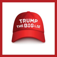 Trump The Big Lie logo - Similar company to Trumpit - Your Trump In It Solutions