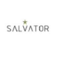 Salvator Military Solutions logo - Similar company to Zimify Group Ab