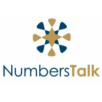 NumbersTalk | Business Analytics logo - Similar company to Analytics Data