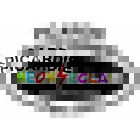PICARDIE ENSEIGNES - Néon Eclair logo - Similar company to Enseignes Richard