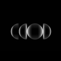 Curious Case Of Design logo - Similar company to Mayatar