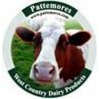 Pattemores Dairy Ingredients logo - Similar company to Elysis Property Engineering