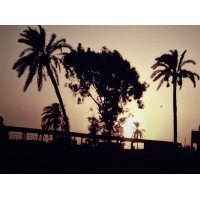 Google World - عالم جوجل
