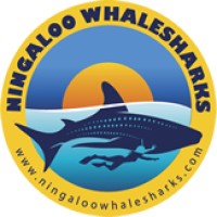 Ningaloo Whaleshark Swim logo - Similar company to Handel Aviation