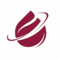 Magnus Energy Services logo - Similar company to Walltracts Group