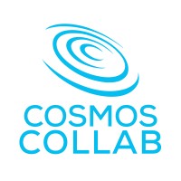 Cosmos Collab logo - Similar company to Skucaster
