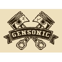 Team Gensonic logo - Similar company to Lanvale