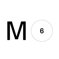 Momentum 6 logo - Similar company to Iconiz