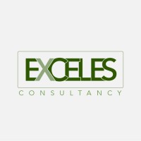 Exceles Consultancy logo - Similar company to Ideal Tech Solutions