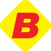 BELINA logo - Similar company to Team Velkovski