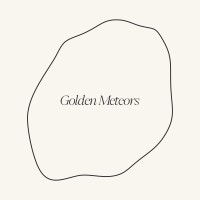Golden Meteors - Beauty B2B Platform logo - Similar company to 100Ml