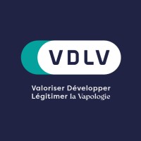 VDLV logo - Similar company to Synambu Consulting