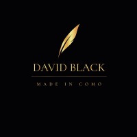 DAVID BLACK® logo - Similar company to 4Plays Italia
