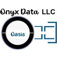 Onyx Data LLC logo - Similar company to Onyx Data Solutions
