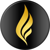 Ignite Your Business