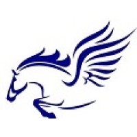 PEGASUS TRANSPORT EOOD logo - Similar company to Lock Transport Bv