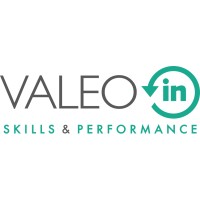 VALEOin logo - Similar company to Seeds.Ch