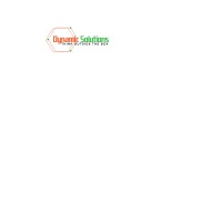 Dynamic Sol logo - Similar company to Wpbun