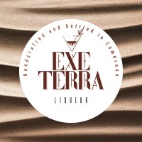 Exe Terra logo - Similar company to Mood.
