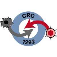 Sonderforschungsbereich 1292 (CRC 1292) logo - Similar company to Collaborative Research Center 876