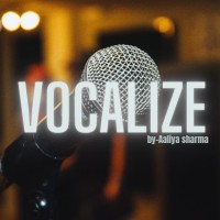 Vocalize logo - Similar company to The Himalayan Foundation Chandigarh