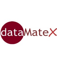 DataMateX logo - Similar company to Effectivekpis