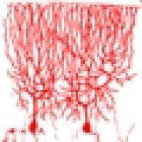 Artificial Learning logo - Similar company to Codeplay
