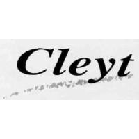 CLEYT CONSULTORES SL logo - Similar company to Mocaplas S.L.