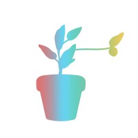 Tiny Citrus Inc.
