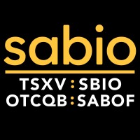 Sabio Holdings logo - Similar company to Diversity Media Sales