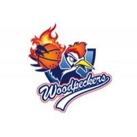 BC Woodpeckers logo - Similar company to Flecheclothes