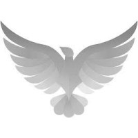 Phoenix Management Consulting logo - Similar company to Psynet Group