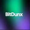 BitDunx logo - Similar company to Bankless Advisor