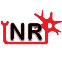 INRP logo - Similar company to Evisynth