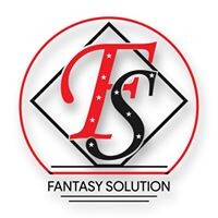 Fantasy Solution logo - Similar company to Greensoft Groups